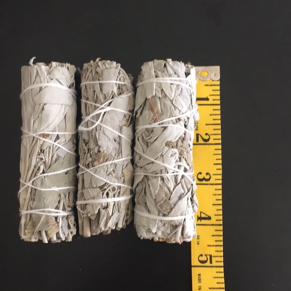 🍃3pk California White Sage - Picture 3 of 4